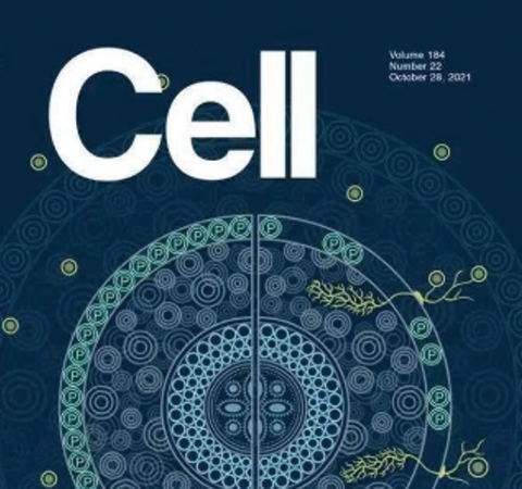 祝賀王二濤老師團(tuán)隊又一佳作榮登Cell期刊！